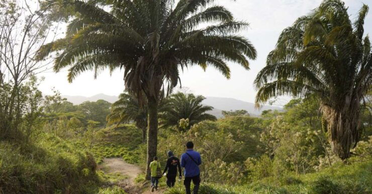2-Day Tour Explore the New Lost City Ctg-Sta Marta - Tour Highlights and Itinerary