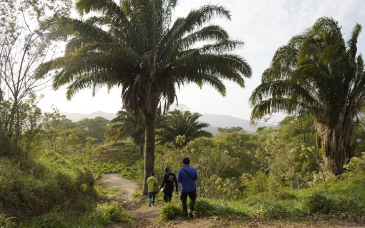 2-Day Tour Explore the New Lost City Ctg-Sta Marta - Booking and Payment Options