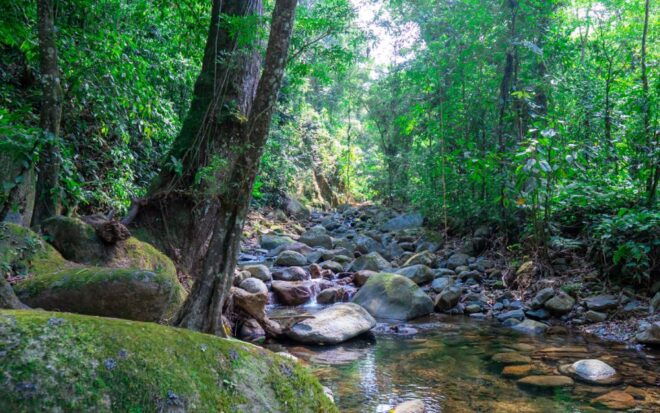 2-Day Tour Explore the New Lost City Ctg-Sta Marta - Safety Measures and Insurance
