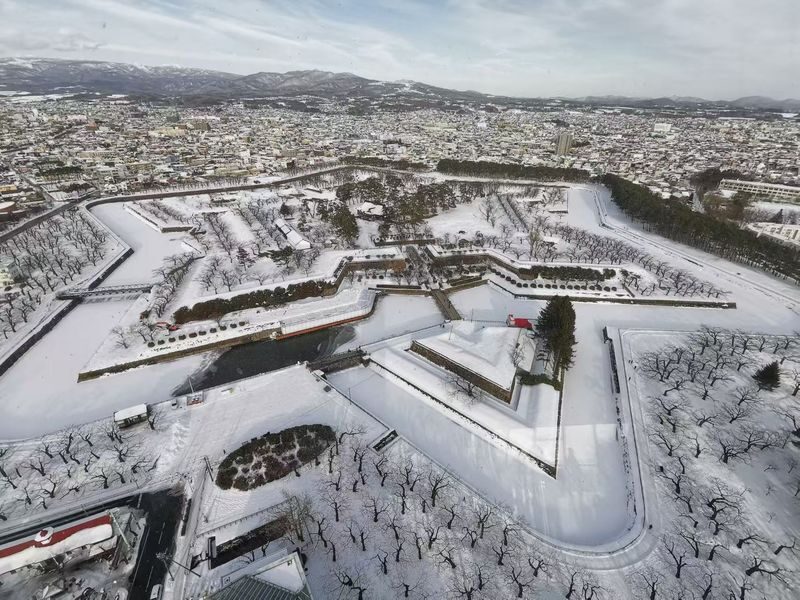 2-Day Tour from Sapporo: Lake Toya & Hakodate Popular Attractions Exploration - Who should book this tour?