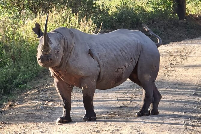 2 Day Tour Hells Gate, Lake Naivasha and Lake Nakuru - Transportation Information