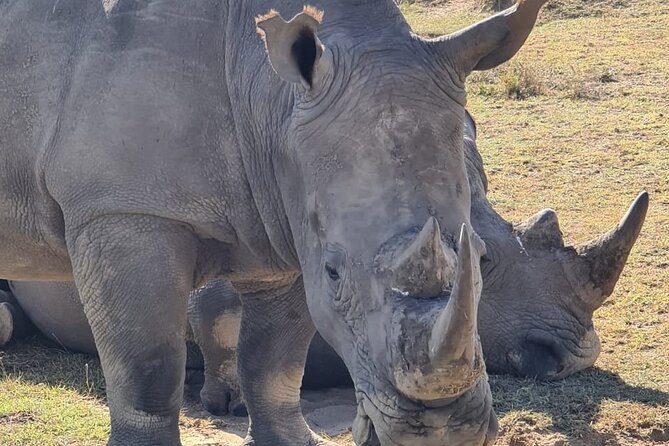 2 Day Tour Hells Gate, Lake Naivasha and Lake Nakuru - Inclusions and Exclusions