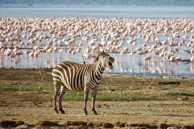 2 Day Tour Hells Gate, Lake Naivasha and Lake Nakuru - Additional Information for Participants
