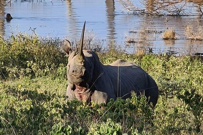 2 Day Tour Hells Gate, Lake Naivasha and Lake Nakuru - Price Details and Variations