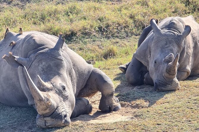 2 Day Tour Hells Gate, Lake Naivasha and Lake Nakuru - Departure Directions From Nairobi