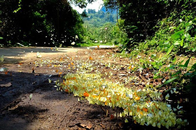 2 Day Tour Hoa Lu - Trang An - Mua Cave - Bich Dong - Cuc Phuong - FAQs