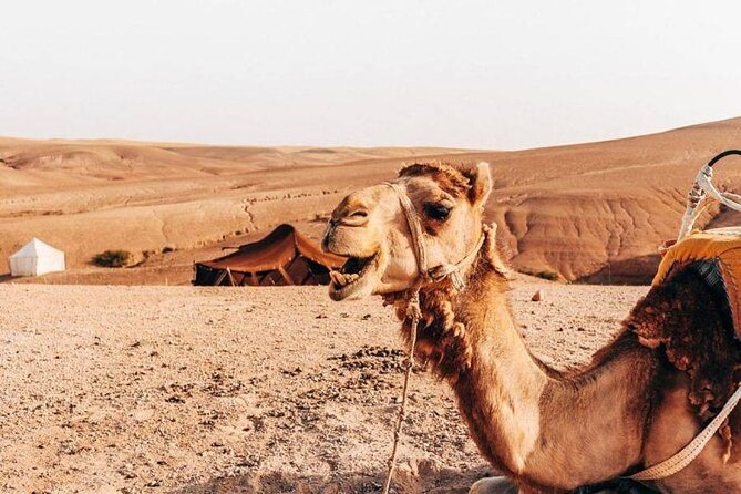 2 Day Tour in Agafay Desert Camp From Marrakech - Additional Information