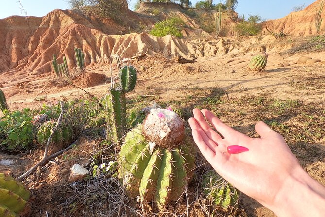 2-Day Tour in the Tatacoa Desert Local Experience - Tour Overview