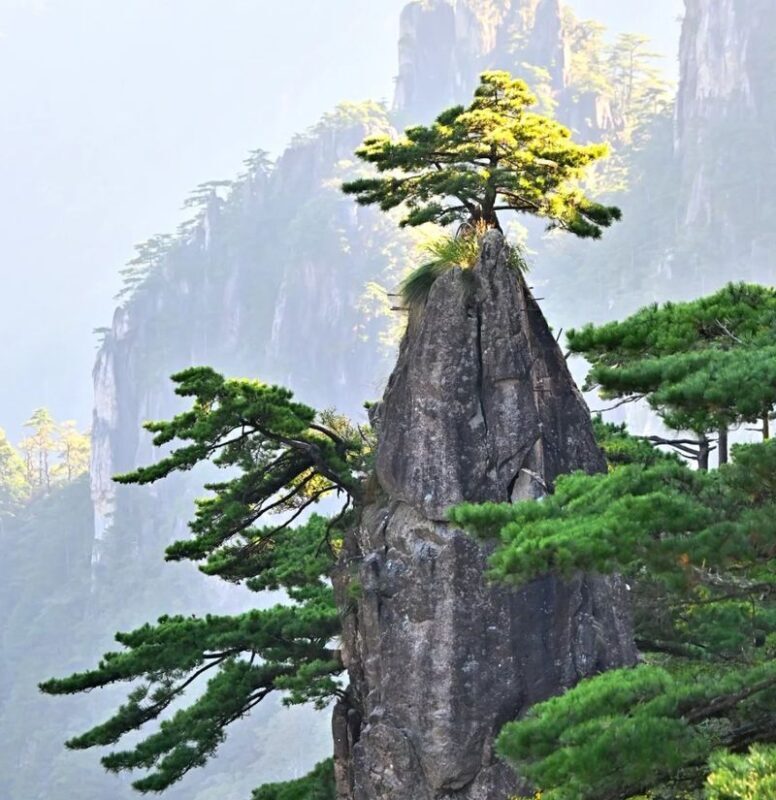 2-Day Tour of Anhui Mount Huangshan Scenic Area (Off-peak afternoon ascent + stay at the summit hotel to watch the evening glow and sunset + Guest-Greeting Pine + Bright Summit) - Why the afternoon ascent changes the pace