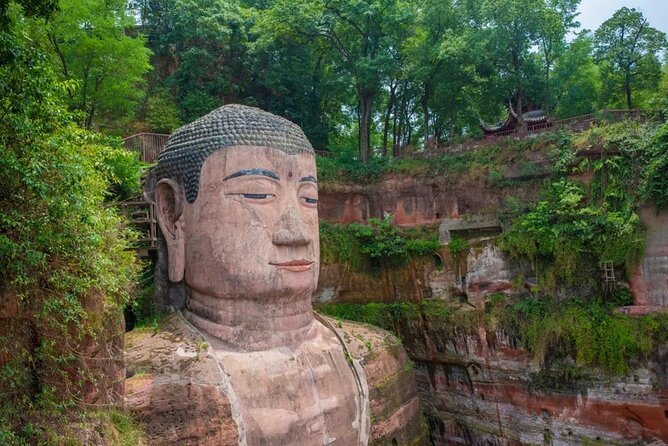 2-Day Tour of Chengdu Panda Base and Leshan Giant Buddha - Tour Highlights