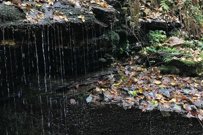 2-Day Tour of King Arthur's Cornwall in Tintagel, Boscastle and Dartmoor from Glastonbury - The Sum Up