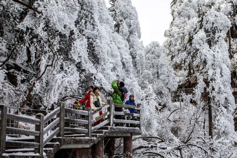 2-Day Tour of Mt. Huangshan and Hongcun - The Sum Up: Who Will Love This Tour?