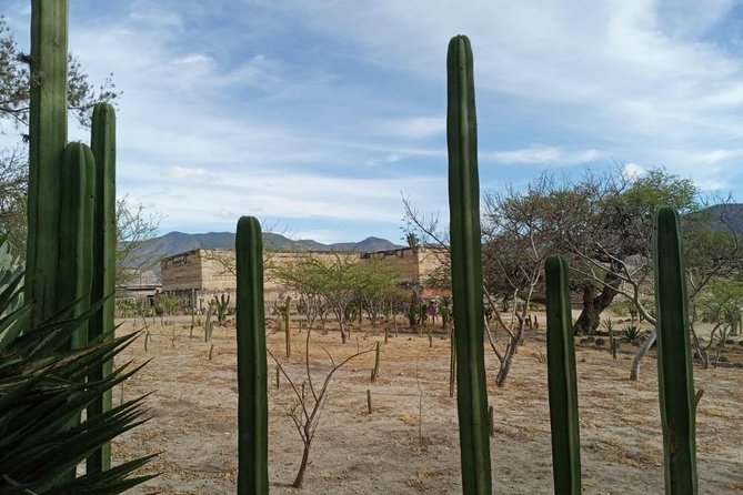 2-Day Tour of Oaxaca Sites and Attractions  - Oaxaca City - Traveler Photos and Reviews