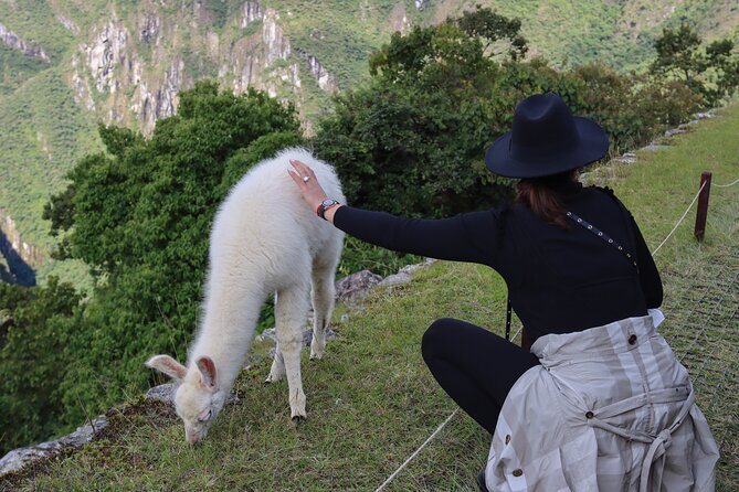 2-Day Tour of the Sacred Valley and Machu Picchu by Train - Common Questions