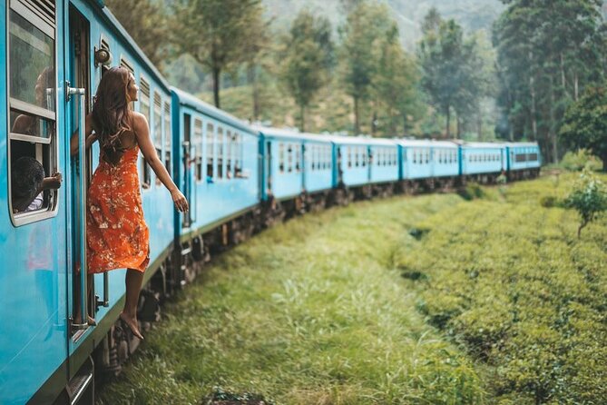 2 Day Tour of Yala & Ella With Hill Country Scenic Train Ride - All Inclusive - Reviews