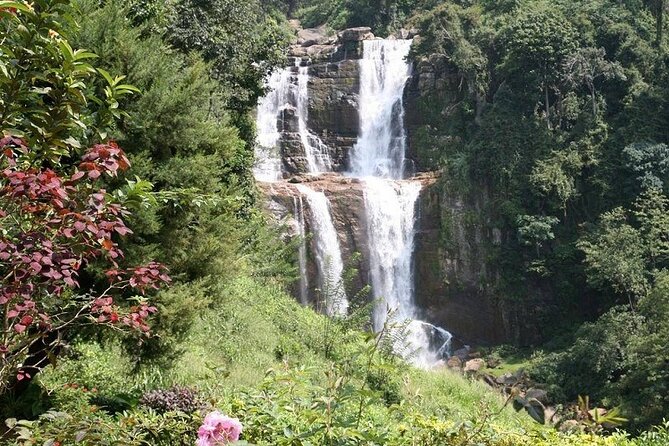 2 Day Tour of Yala & Ella With Hill Country Scenic Train Ride - All Inclusive - Common Questions
