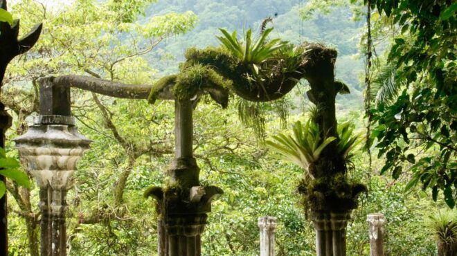 2 Day Tour Puente De Dios and Xilitla From San Luis Potosí - Preparation and Restrictions