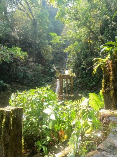 2 Day Tour Puente De Dios and Xilitla From San Luis Potosí - Frequently Asked Questions