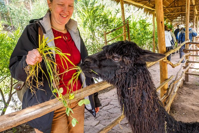 2 Day Tour: Sacred Valley (Awanacancha, Pisaq, Ollantaytambo) and Machu Picchu - Meeting and Pickup