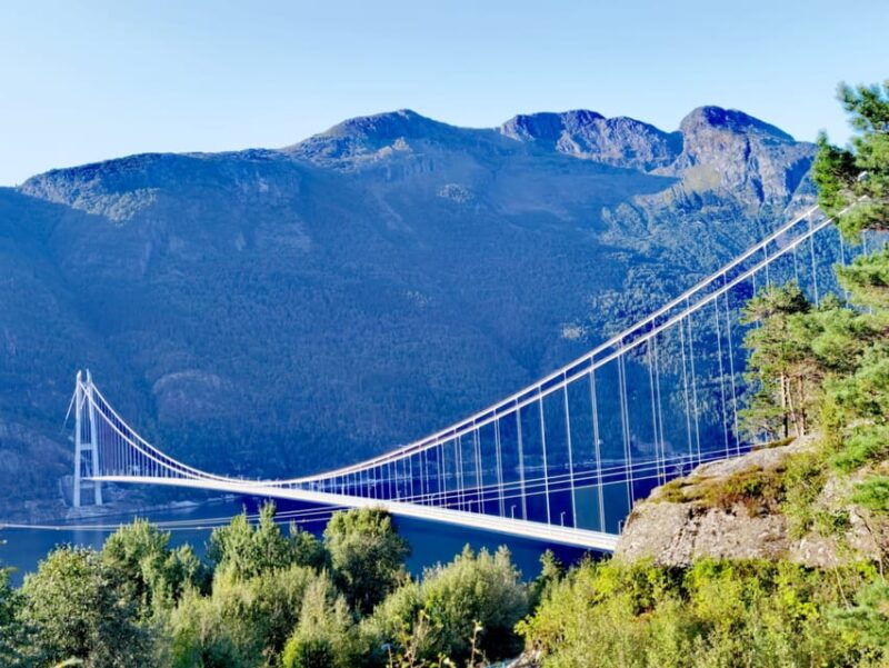 2 day tour to hardangerfjord, flåm næroyfjord vøringsfossen - What’s Included & What to Consider