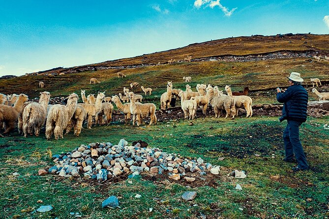 2-Day Tour to Machu Picchu and Rainbow Mountain Cusco - Reviews and Customer Support