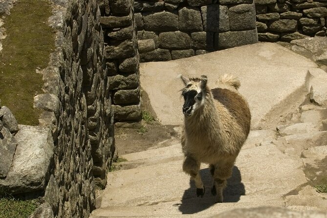 2-Day Tour to Machu Picchu by PANORAMIC TRAIN - Pick up Details