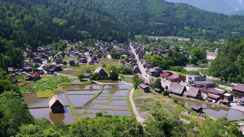 2-Day Tour to Matsumoto, Takayama & Kanazawa - In-Depth Breakdown of the Tour Experience