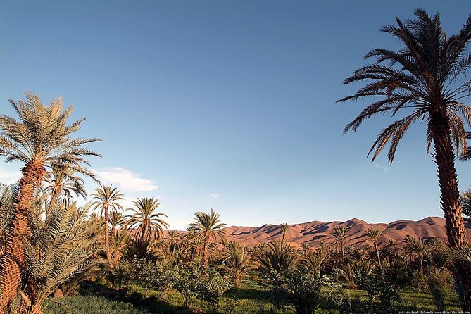 2-Day Tour to Zagora Desert From Marrakech - Booking and Availability