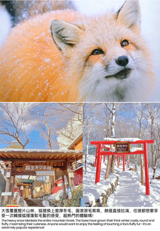 2-Day Tour: Zao Ropeway, Ginzan Onsen, Fox Village, Okurayama (Hotel Breakfast, Dinner) - Tokyo departures, luggage and the pace of the route