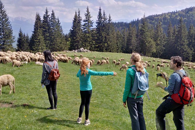 2-Day Transylvania Culture Trek From Brasov - Small Group Tour - Booking Details