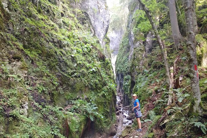 2-Day Transylvania Culture Trek From Brasov - Small Group Tour - Safety Measures