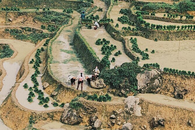 2-Day Trekking in Sa Pa from Ha Noi by sleeping bus - Authentic Encounters and Local Insights
