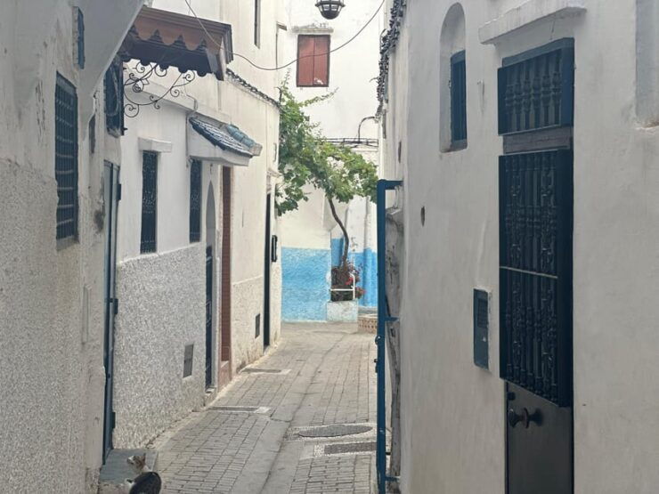 2 Day Trip From Spain to Morocco All Inclusive - Tarifa to Tangier Fast Ferry