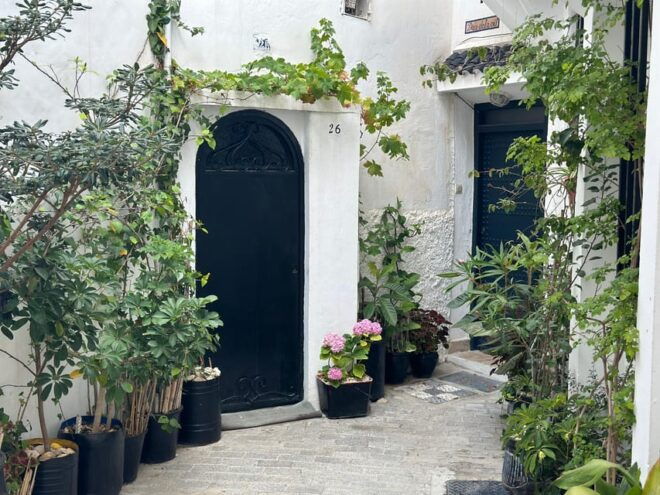 2 Day Trip From Spain to Morocco All Inclusive - Discovering Historic Tangier