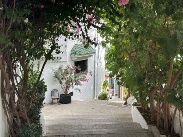 2 Day Trip From Spain to Morocco All Inclusive - Unique Cultural Experiences