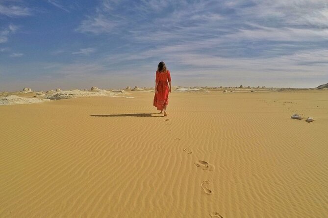 2 Day Trip to Bahariya Oasis White Desert From Cairo - Tour Highlights