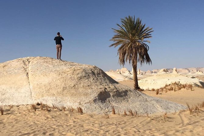 2 Day Trip to Bahariya Oasis With White Desert - Logistics and Transportation