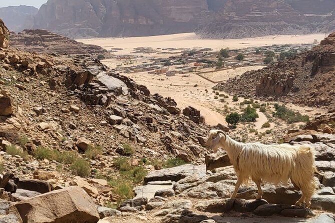 2 Day Wadi Rum Tour: Traditional Dinner and Starlit Cave Camp - Itinerary Highlights