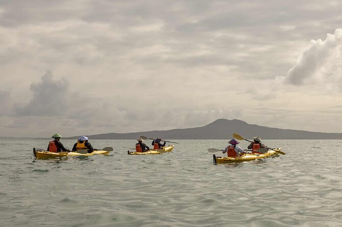 2-Day Waiheke Island Sea Kayak Tour - Minimum Number of Travelers