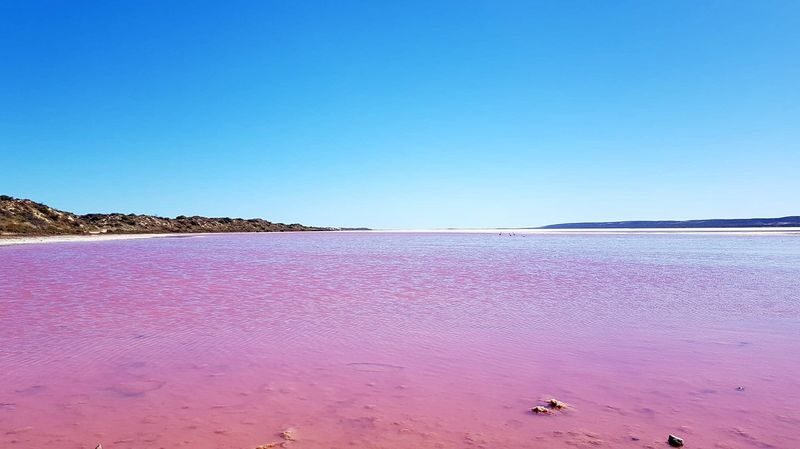 2 Day Western Australia Pink Lake Small Group Tour - Day two: gorge views, the pink lake and the Pinnacles