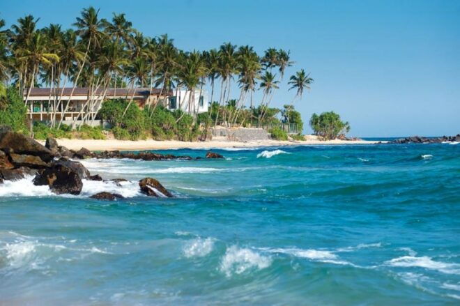 2-Day Whale Watching & Southern Sri Lanka Tour - Customer Review