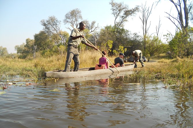 2 Day Wilderness Trail: Okavango Delta and Moremi - Camping Safari - Wildlife Encounters
