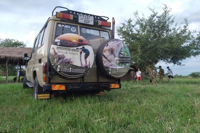 2 Day Wildlife Experience and Masai Culture Mikumi Park - Inclusive Accommodations and Meals