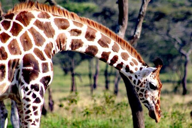 2-Day Wildlife Safari in Lake Mburo National Park - Travel Tips and Recommendations