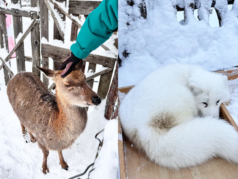 2-Day Yabuli Snow Town Tour | Round Trip from Harbin - What the price covers, and what may cost extra