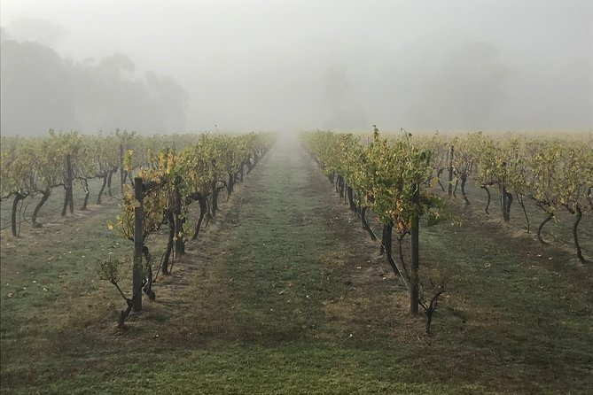 2-Day Yarra Valley Wine Tour With Luxury Vineyard Resort Stay - Expert-led Wine Tastings