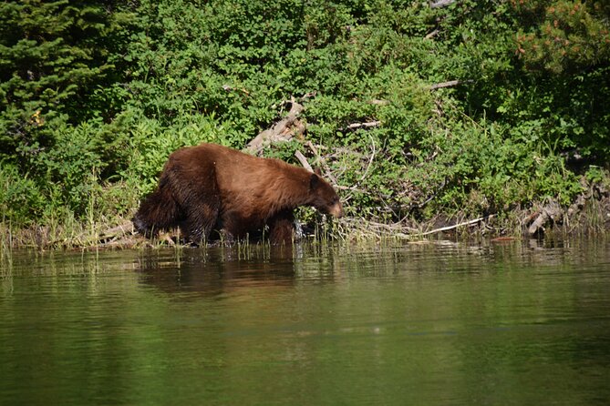 2-Day Yellowstone Tour Lower and Upper Loop Guided Tour - Review 2: Paula_Zs Feedback