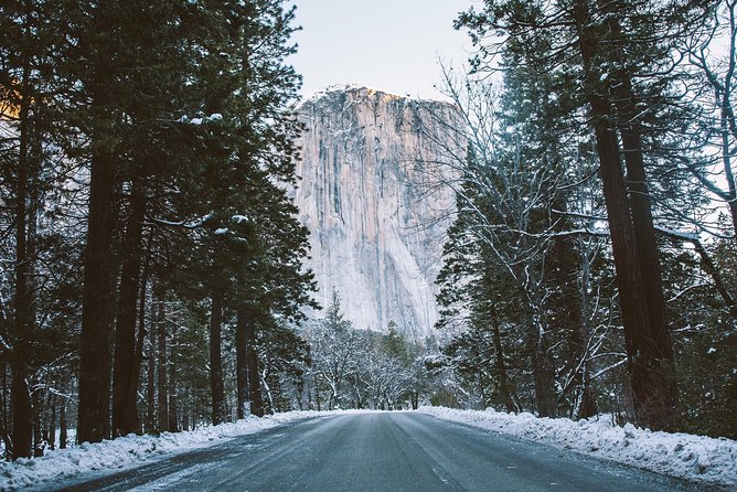2-Day Yosemite National Park Winter Tour From San Francisco - Activities and Experiences