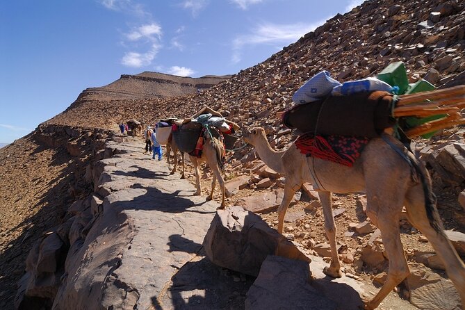 2-Day Zagora Desert Tour From Marrakech to Mhamid Dunes Camel (All-Inclusive) - Tour Inclusions