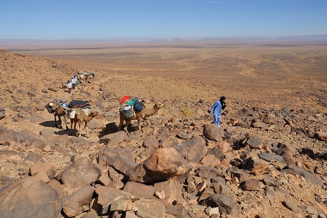 2-Day Zagora Desert Tour From Marrakech to Mhamid Dunes Camel (All-Inclusive) - Booking and Cancellation Policy